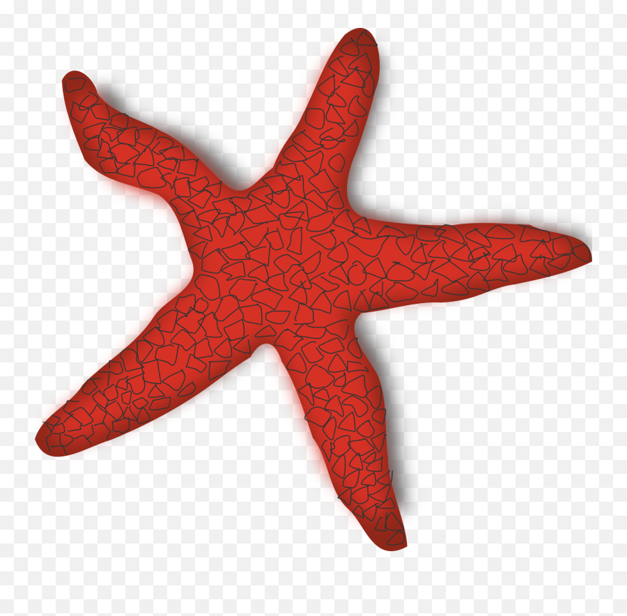 Addon Red Starfish Clip Art - Vector Clip Art Starfish Clip Art Png,Red Star Transparent Background
