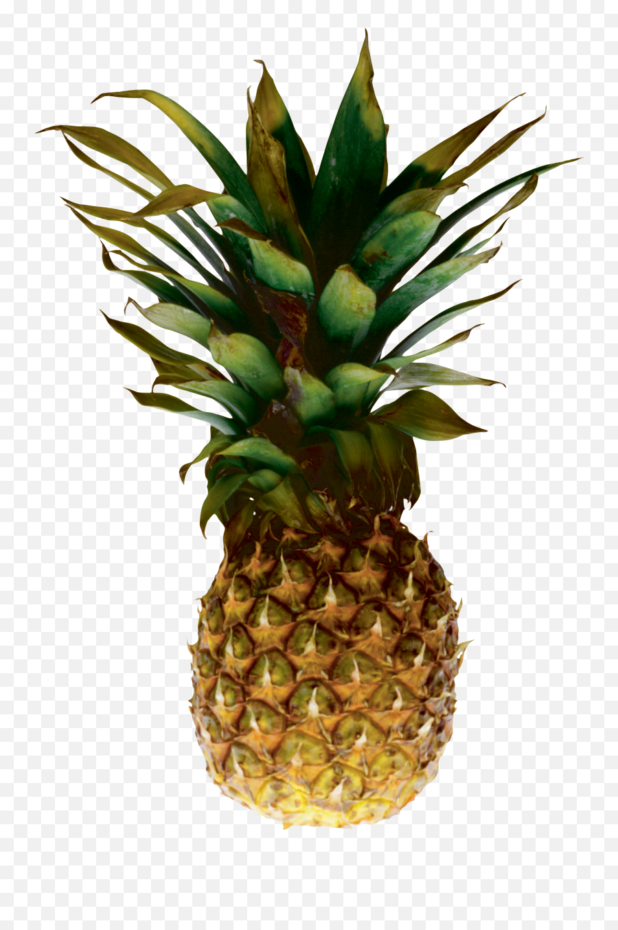 Cool Clipart Pineapple - Ananas Png,Pineapple Transparent