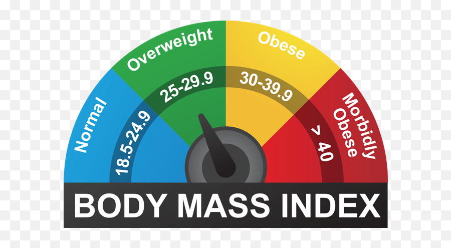 Body Mass Index Png U0026 Free Indexpng Transparent - High Bmi,Body Mass Index Icon