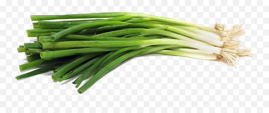 Green Onion Png 2 Image - Green Onion Png,Onion Png