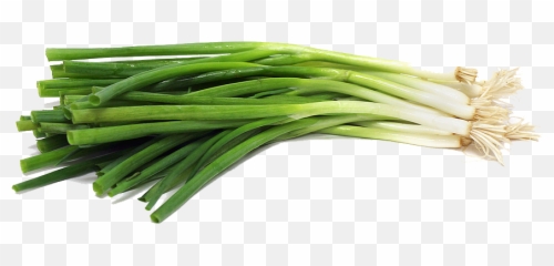 Green Onion Png 2 Image - Green Onion Png,Onion Png
