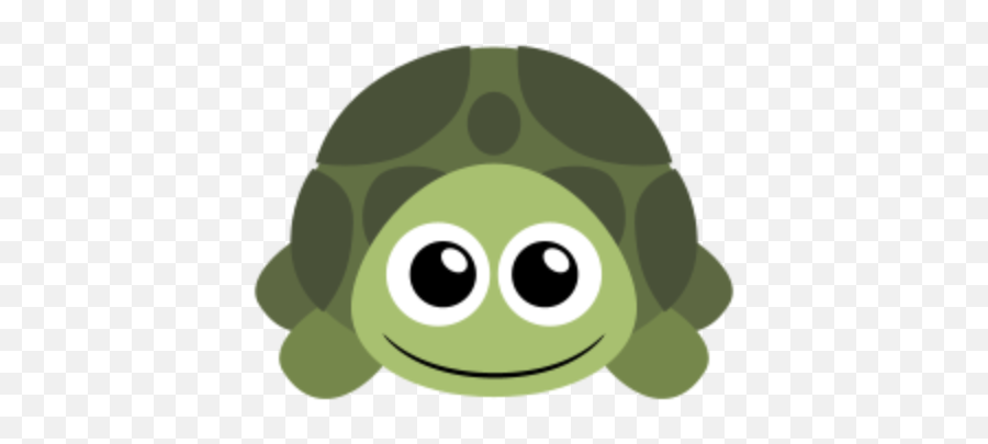 Cropped - Turtleiconpng U2013 Funky Turtle Turtle Icon Png,Turtle Icon Png