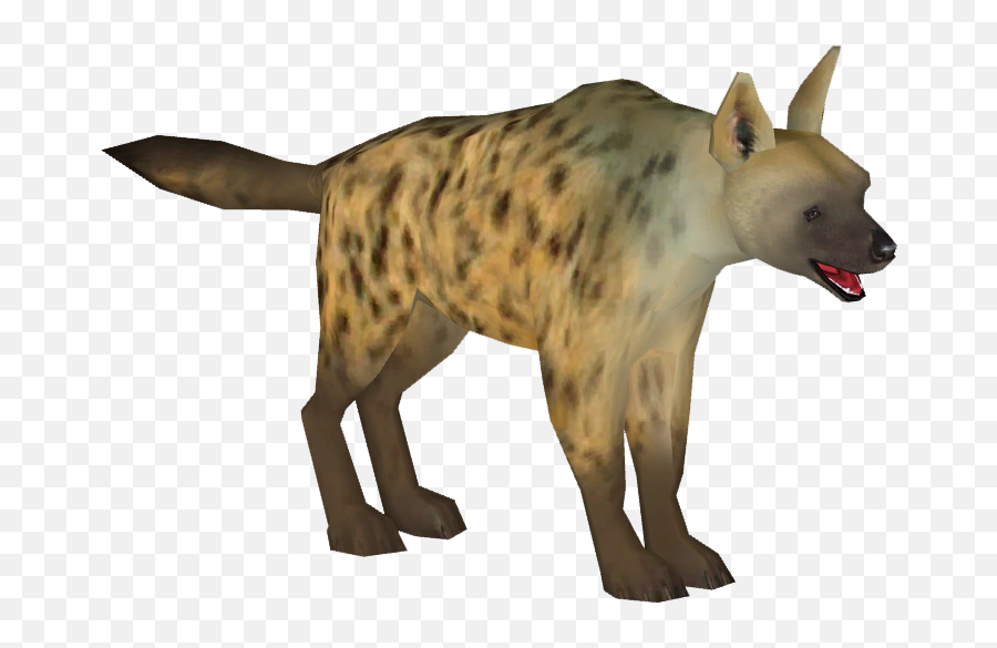 Spotted Hyena Png