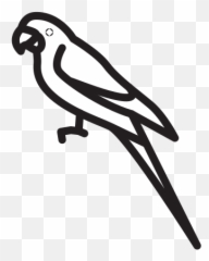 Parrot Free Icon Of Selman Icons - Png Parot White