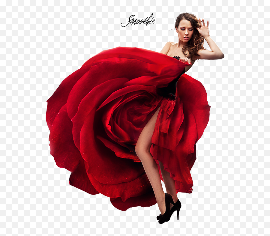 Espagne Flamenco Png 5 Image - Rose Dress Dancer,Flamenco Png
