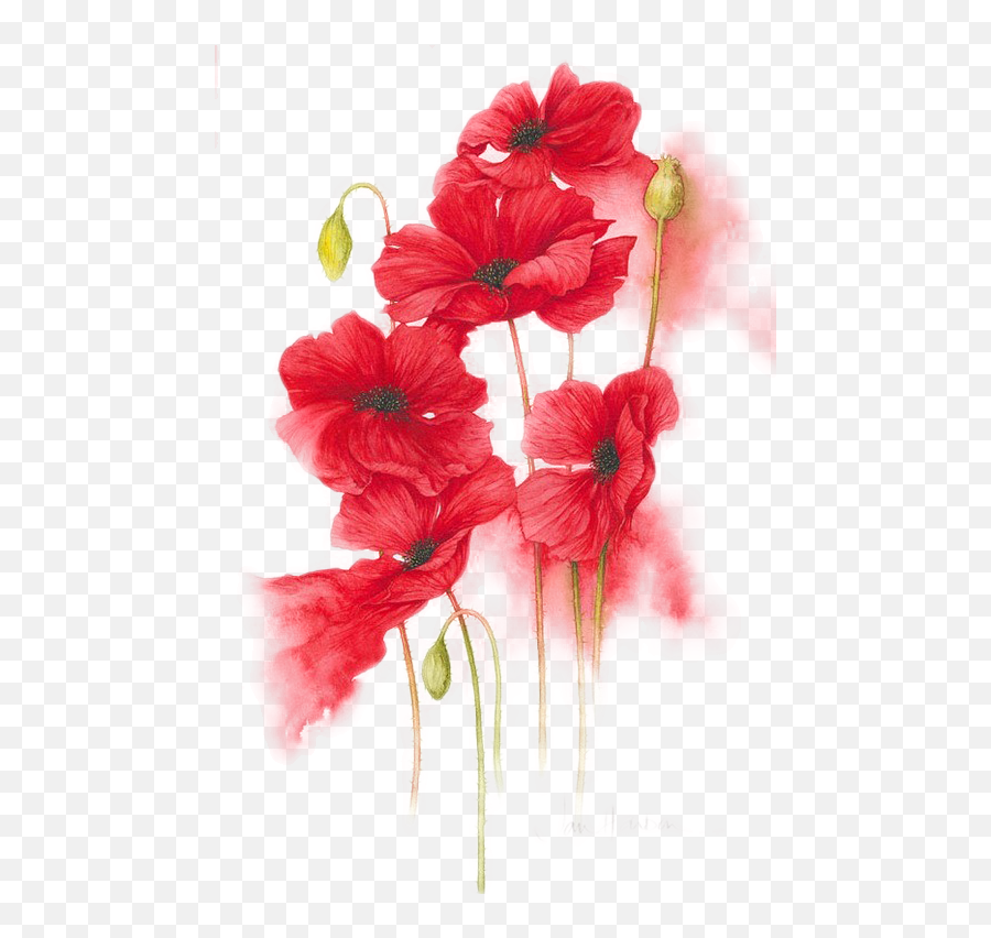 Orange Red Yellow Flower Watercolor Painting - Hand Painted Red Flower Png,Red Flowers Png