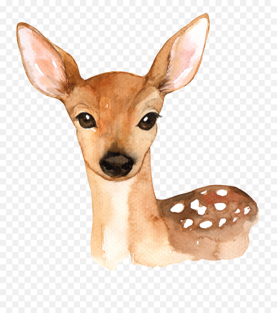 Download Hand Painted A Cute Deer Png - Deer With Flower Crown,Deer Png