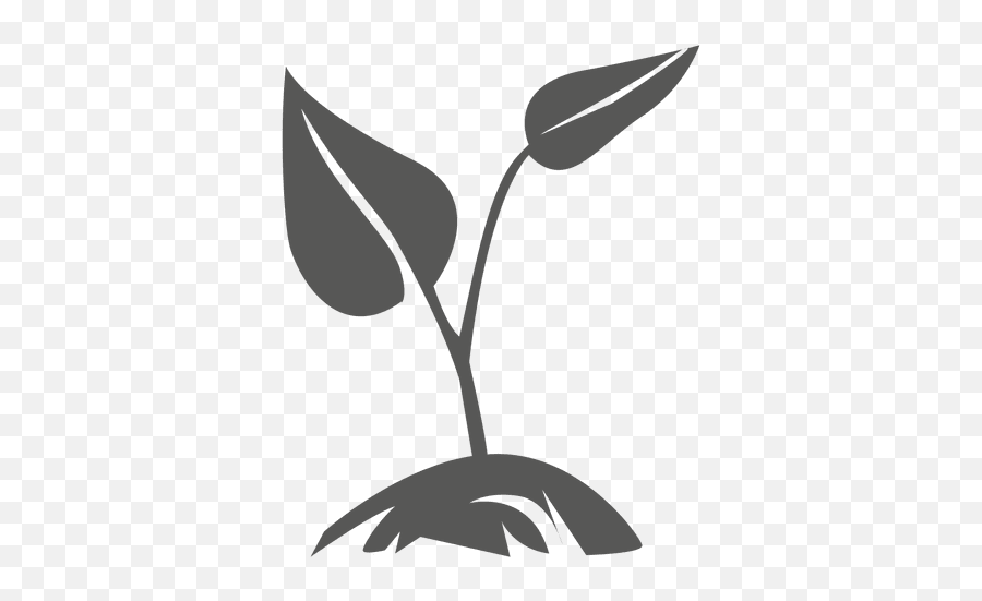 Growing Plant Transparent U0026 Png Clipart Free Download - Ywd Transparent Plant Icon Png,Plants Transparent Background
