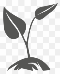 Growing Plant Transparent U0026 Png Clipart Free Download - YWD Icon Png