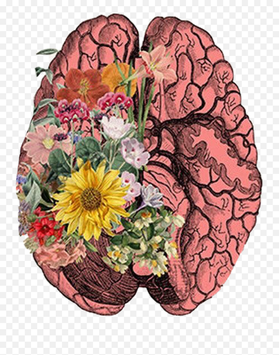 Brain - Brain And Flower Png,Flower Art Png
