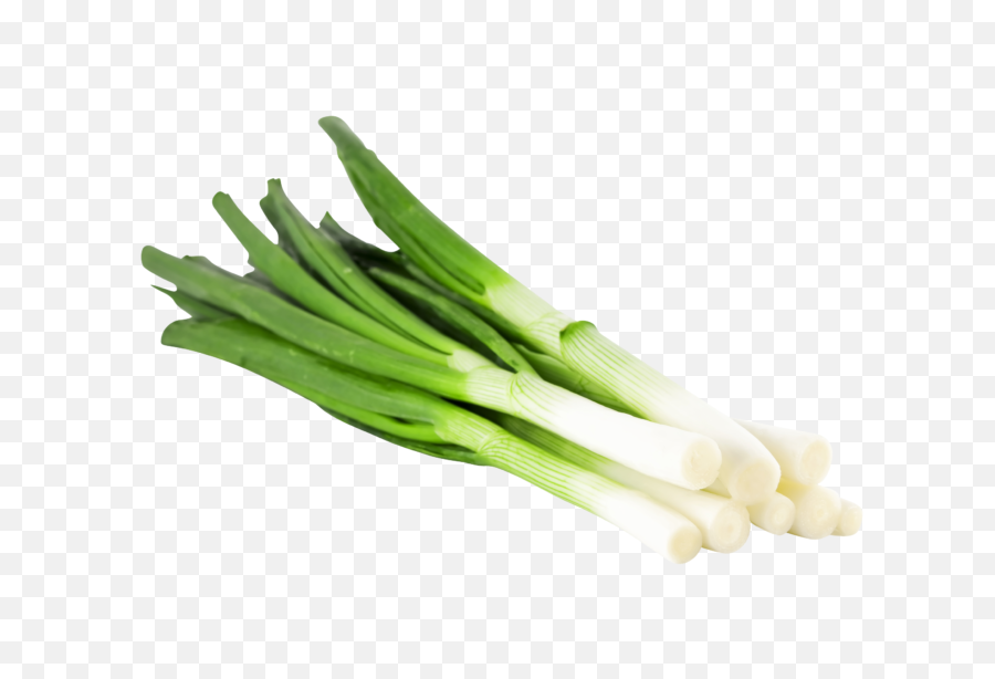 Download Product Group - Spring Onion Png Image With No Spring Onion In German,Onion Transparent Background