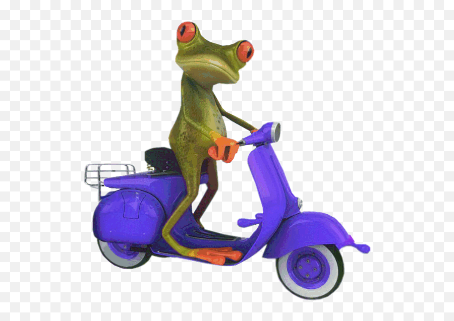 Blue Scooter Frog - Frog On Scooter Png,Frog Png