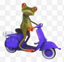 Blue Scooter Frog - On Png