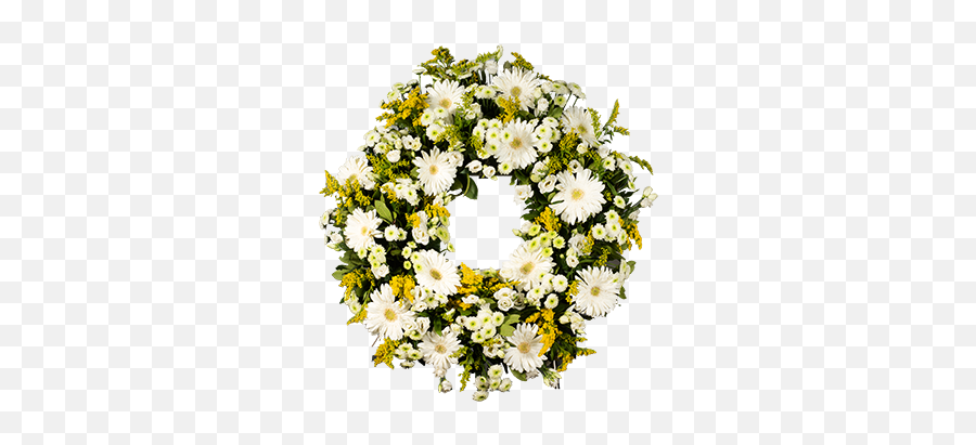 White Medium Gerberas Wreath - Chamomile Png,White Wreath Png