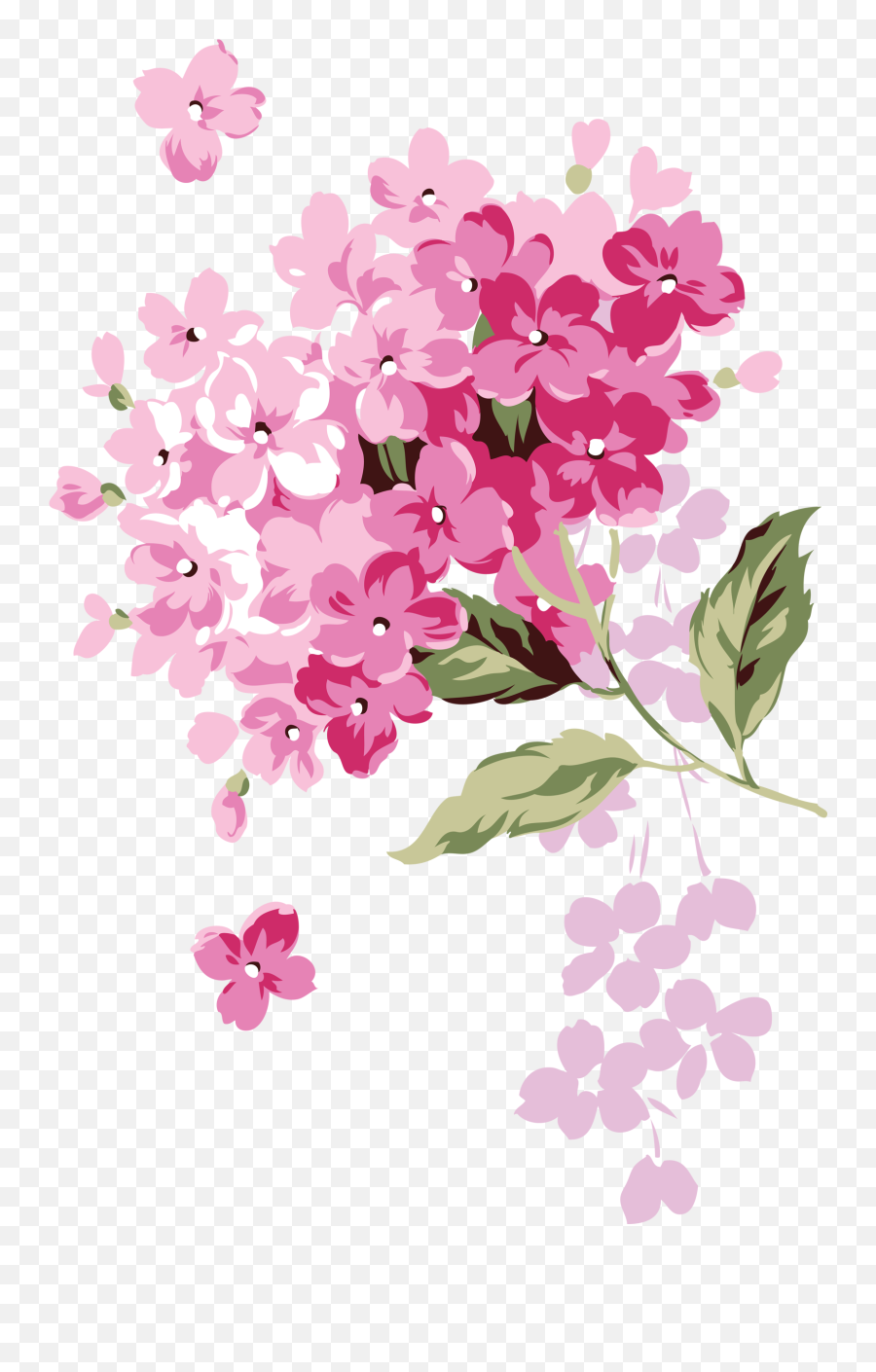 Hydrangea Png Transparent - Adobe Illustrator Flower Design,Hydrangea Png