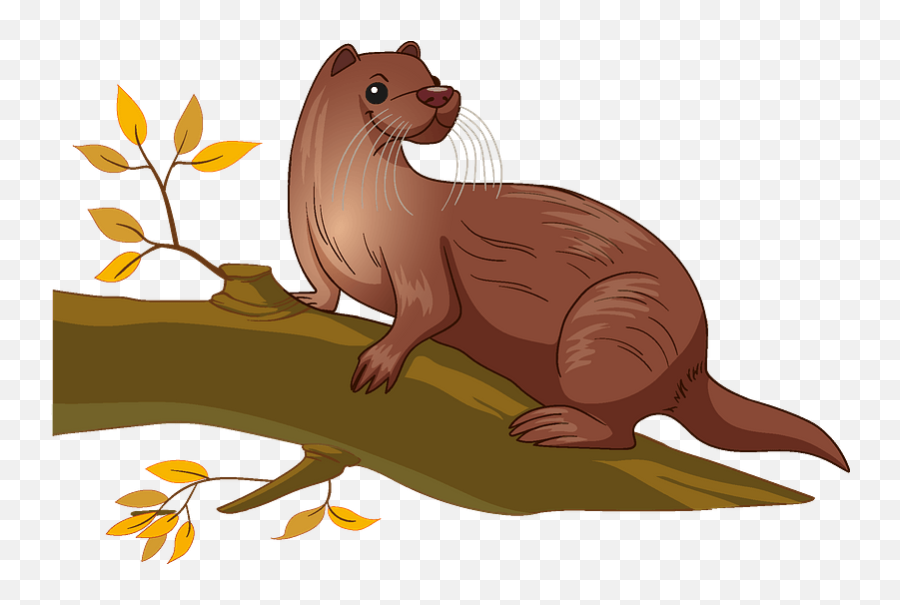 Otter Clipart - North American River Otter Png,Otter Png