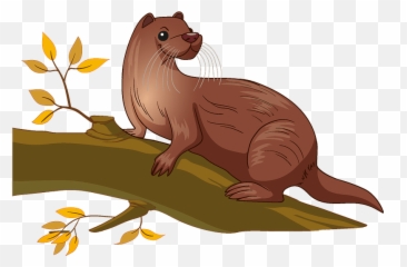 Otter Clipart - North American River Otter Png,Otter Png
