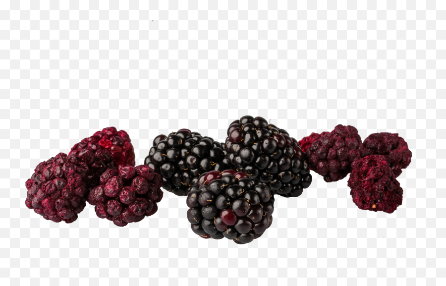 Freeze Dried Blackberry Snack Pouch U2013 The Rotten Fruit Box Png Blackberries