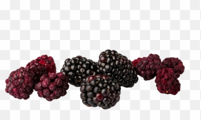 Freeze Dried Blackberry Snack Pouch U2013 The Rotten Fruit Box Png Blackberries