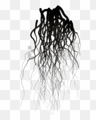 Black Veins Png Image With Transparent - Transparent Background Black Veins Transparent,Veins Png