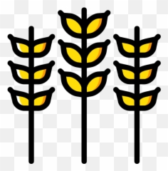 Grains Wheat Png Icon - Clip Art