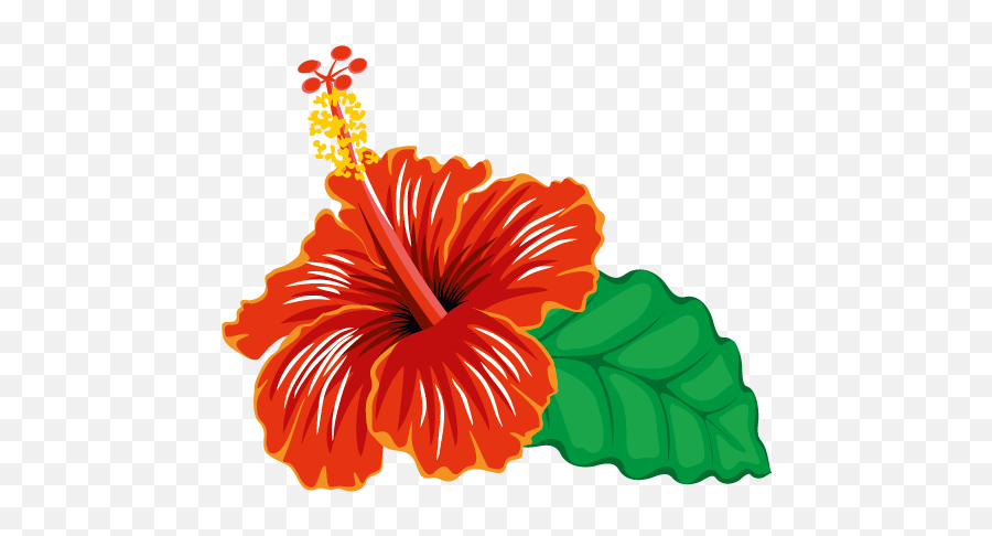 Index Of Wp - Contentuploads Shoeblackplant Png,Hawaiian Flower Icon