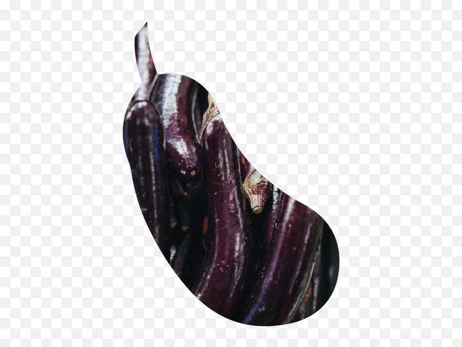Home - Eggplant Png,Exo Icon