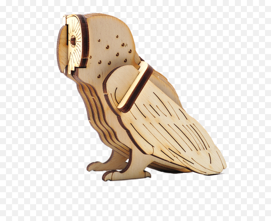 Barn Owl Png Icon