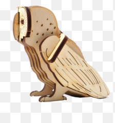 Barn Owl Png