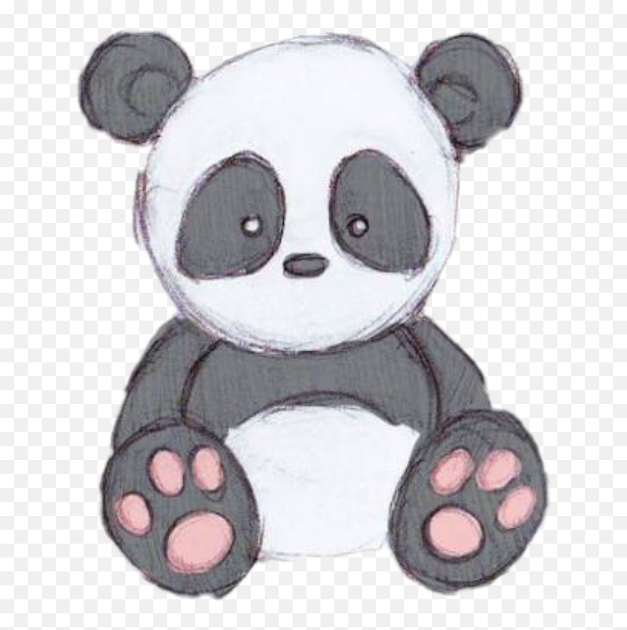 Download Panda Cute Cutepanda Pandastickerfreetoedit - Panda Drawing Png,Cute Panda Png