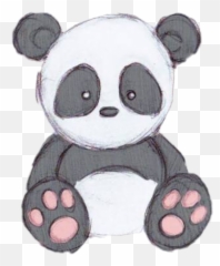 Download Panda Cute Cutepanda Pandastickerfreetoedit - Panda Drawing Png,Cute Panda Png