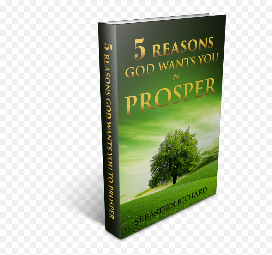 5 Reasons God Wants You To Prosper - Grassland Png,Lexia Icon