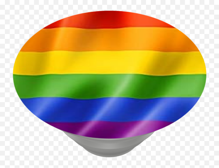 Pride Flag - The Trevor Project Popsockets Official Vertical Png,Lesbian Flag Icon
