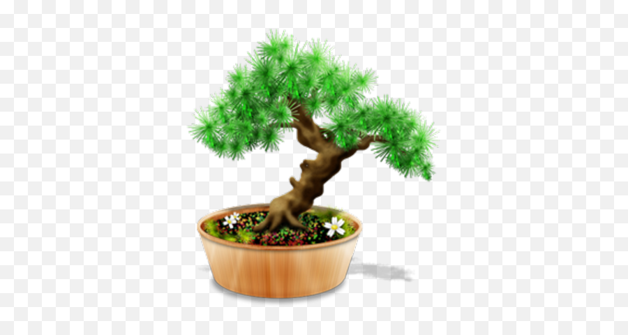 Bonsai Psd Free Download Templates U0026 Mockups Png Tree Icon