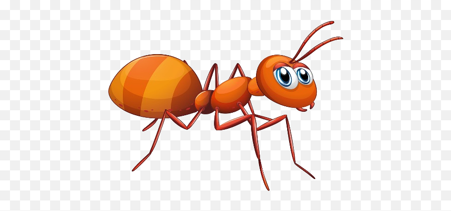 Red Ants Cartoon Pictures - Cartoon Picture Of Ant Imagenes De Hormiga En Caricatura Png,Ant Png