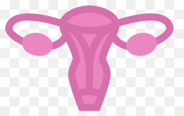 Uterus Png Icon
