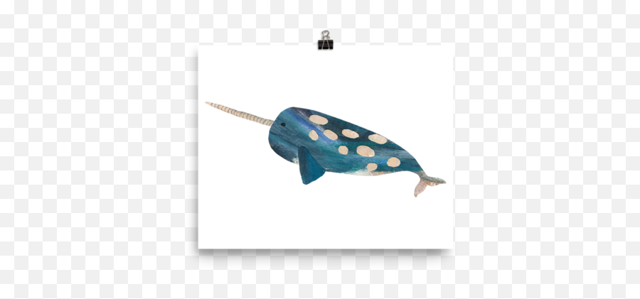 Download Narwhal - Full Size Png Image Pngkit Humpback Whale,Narwhal Png