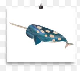 Download Narwhal - Full Size Png Image Pngkit Humpback Whale,Narwhal Png