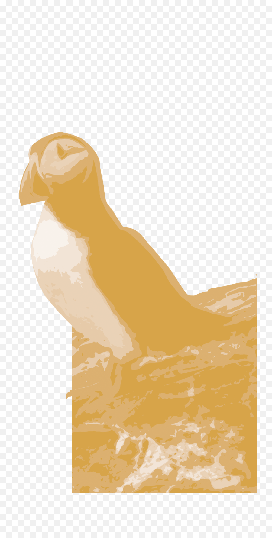 Puffin Watch I Demo Site No Lesser Panda - Bird Of Prey Png,Puffin Png