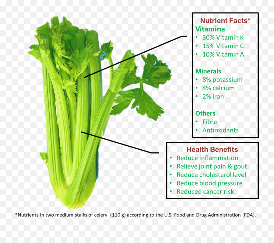 Dosinghealth U2013 Dosing Health Png Celery