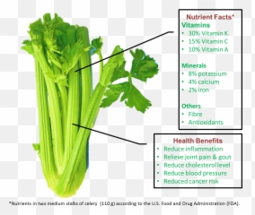 Dosinghealth U2013 Dosing Health Png Celery