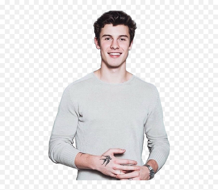 Report Abuse - Shawn Mendes Photo Transparent Png,Shawn Mendes Png