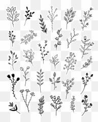 Flower Doodle - Easy Flower Doodle Art Png,Flower Drawing Png