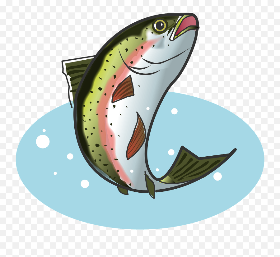 Rainbow Trout Fish Clipart Free Download Transparent Png
