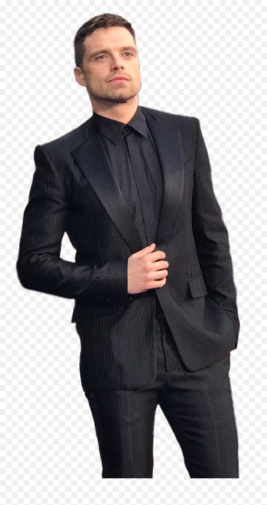 Sticker - Sebastian Stan Infinity War Premiere Png,Sebastian Stan Transparent