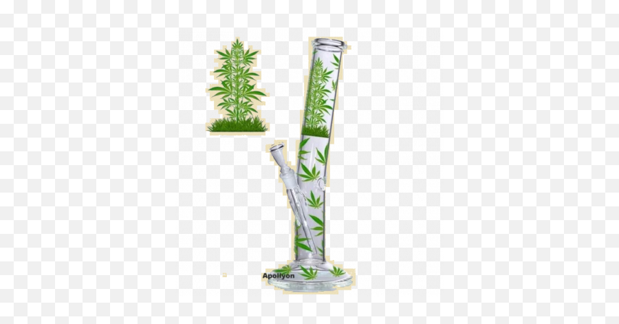 Marijuana Leaf Jhari Bong - Marihuana Bong Png,Bong Transparent Png