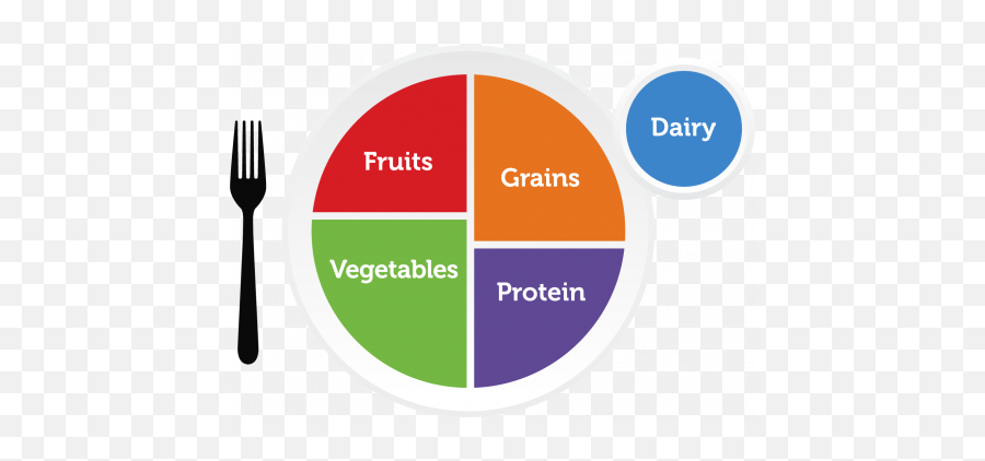 Food Group Gallery Myplate - Myplate Food Groups Png,Icon Gallary
