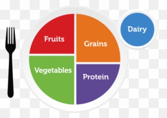 Food Group Gallery Myplate - Myplate Groups png