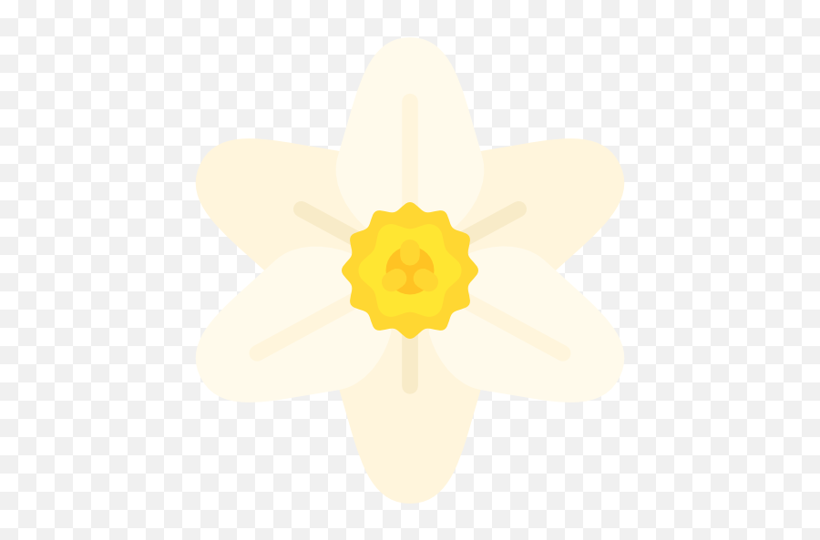 Narcissus - Narcissus Icon Free Png,Daffodil Icon