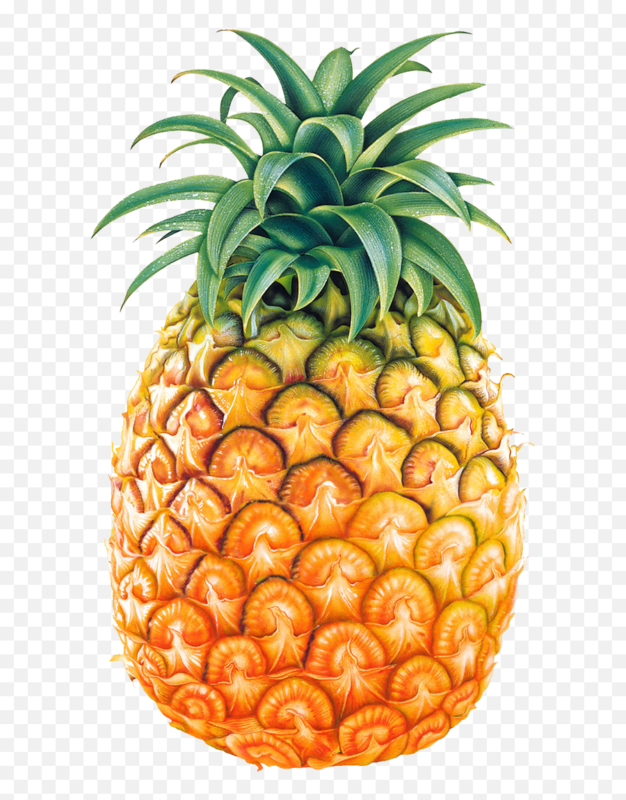 Png Background - Pineapple Png,Pineapple Transparent